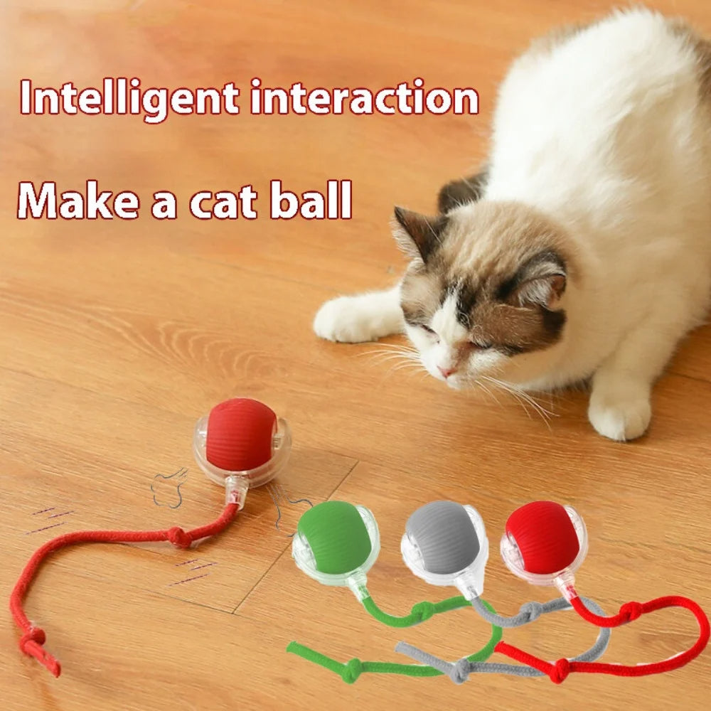 Automatically Rolling Toy Ball (BEST SELLER)